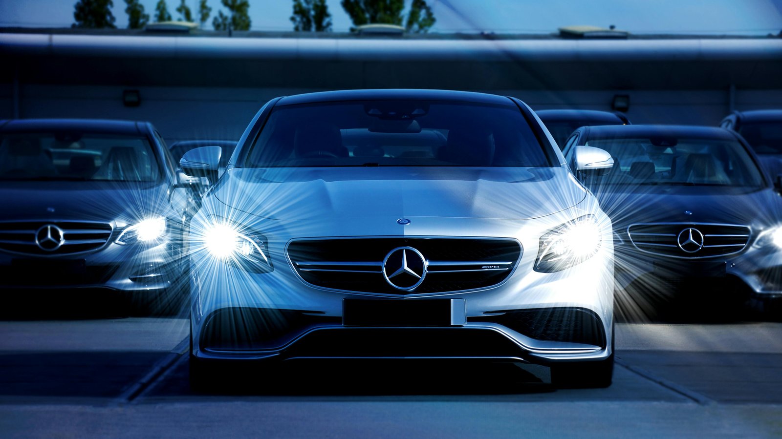 Contact EasyCarsHub - Premium Support